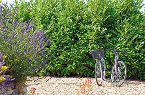 Cycling holidays in France