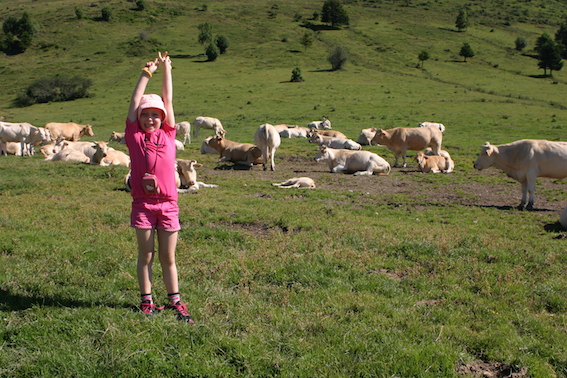 Col d'Aspin