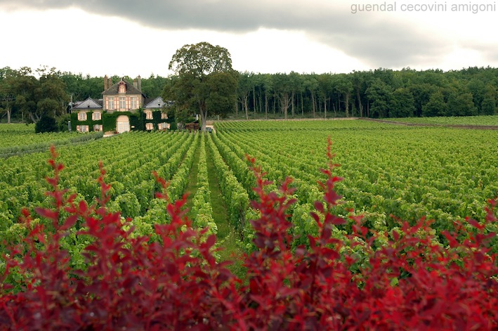 Burgundy is beautiful by bike. Photo: guendal 
