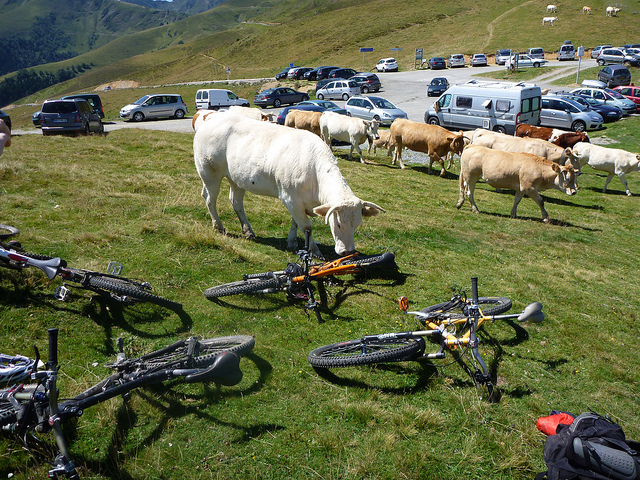 Locals making their Tour de France inspections at the top of Port de Bales. Photo: Simon James