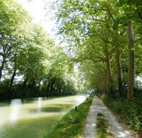 cancer support france bike ride