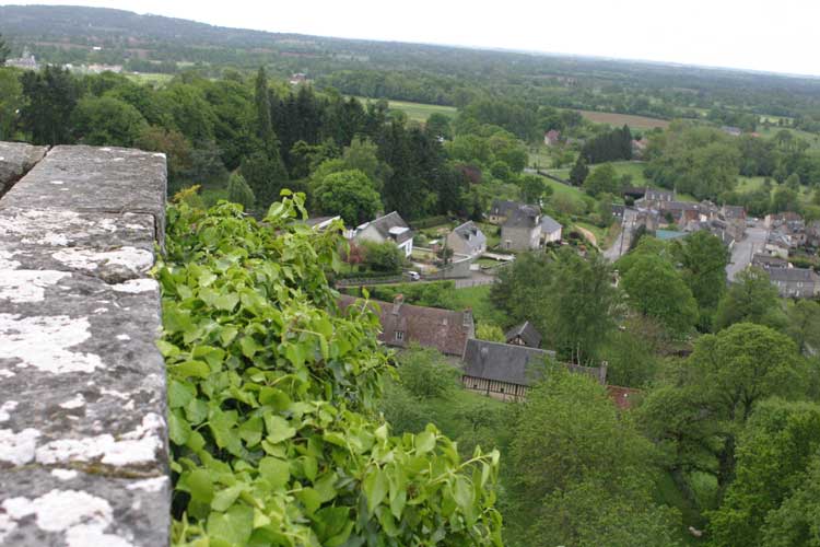 castle domfront